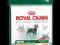 ROYAL CANIN SHN MINI SENSIBLE 4KG WARSZAWA