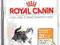 ROYAL CANIN HAIR & SKIN 33 4kg WARSZAWA