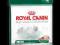 ROYAL CANIN SHN MINI LIGHT 4KG WARSZAWA