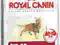 ROYAL CANIN FIT 32 0,4kg WARSZAWA