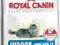 ROYAL CANIN INDOOR LONG HAIR 35 0,4kg WARSZAWA