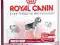 ROYAL CANIN MEDIUM-Light 27 13kg WARSZAWA
