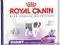 ROYAL CANIN GIANT-Puppy 34 15kg WARSZAWA