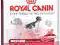 ROYAL CANIN MEDIUM-Adult 25 15kg WARSZAWA