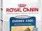 ROYAL CANIN Energi 4300 15kg WARSZAWA
