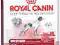 ROYAL CANIN MEDIUM-Mature 25 15kg WARSZAWA