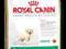 ROYAL CANIN SHN BREED GOLDEN RETRIVER JUNIOR 29