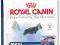 ROYAL CANIN MAXI-Junior 32 1kg WARSZAWA
