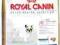 ROYAL CANIN CANIN FRENCH BULLDOG 26 ADULT 1 kg Wwa