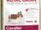 ROYAL CANIN CAVALIER KING CHARLES 1,5kg WARSZAWA