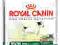 ROYAL CANIN MINI-Mature 2kg WARSZAWA