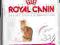 ROYAL CANIN EXIGENT 35-30 SAVOUR 2KG WARSZAWA