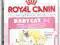 ROYAL CANIN BABYCAT 34 2kg WARSZAWA