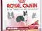 ROYAL CANIN MEDIUM-Sensible 25 4kg WARSZAWA
