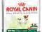 ROYAL CANIN MINI-Adult 4kg WARSZAWA