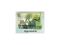 Mydło naturalne derm. AWOKADO 100g. GRISI