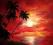 plaża zachód słońca 70x60CM +++EDILUKI+++ olej