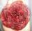 Spinka, broszka róża z organtyny bordowa