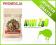 PROMOCJA!!! HARRINGTONS PIES LAMB&RICE 15kg