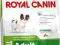 ROYAL CANIN x-small adult 0,5kg sucha karma