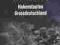 Elitarne oddziały Hitlera Hohenstaufen Grossdeut