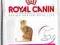 Exigent 35/30 Savour sensation 4 kg  rottka.pl