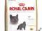 Royal Canin British Shorthair34 2kg rottka.pl