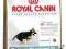 ROYAL CANIN German Shepherd30 JUNIOR 3kg rottka.pl
