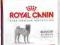 ROYAL CANIN Medium Dermacomfort24 10 kg rottka.pl