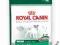 ROYAL CANIN Mini Adult 500g POMÓŻ rottka.pl