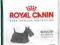 ROYAL CANIN Mini Dermacomfort 1,5 kg rottka.pl