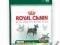 ROYAL CANIN Mini Sensible 4 kg POMÓŻ rottka.pl