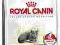 Royal Canin Indoor Mature27 3,5kg POMÓŻ  rottka.pl