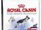 ROYAL CANIN Maxi Adult26 15 kg POMÓŻ rottka.pl