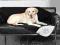 KOC DLA PSA DOGGY 150x100cm  TX-37173