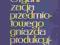 ORGANIZACJA PRZEDMIOTOWEGO GNIAZDA PRODUKCYJNEGO