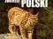 Ilustrowana encyklopedia zwierząt Polski Wys 24H