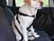 TRIXIE Szelki samochodowe M psa beagle spaniel