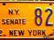 Tablica rejestracyjna USA-NEW YORK-Rządówka !!!