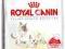 Royal Canin Babycat 34 - 4kg - kocięta do 4 mies.