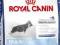 Royal Canin Maxi Junior 15kg GLIWICE !!!