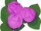 Róże z listkami opłatkowe - 3 szt. fioletowe