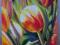amator tulipanów przejebane ~50x70 cm ' ~ 'olej~