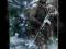 Call of Duty Modern Warfare - plakat 40x50 cm