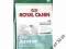 Karma Royal Canin Mini Junior DOG 3kg TANIO