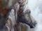 M.Derlicka - "Koń" - obraz olejny