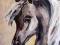 M.Derlicka - "Koń siwy" - obraz olejny