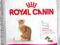 Royal Canin Exigent 35/30 - 10 kg GLIWICE !!