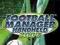 FOOTBALL MANAGER 2007 / PSP/ FOLIA / G4Y S-ec/K-ce