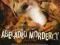 ABECADŁO MORDERCY  *W-wa*